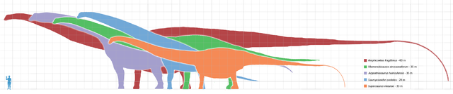 Dessin de Brachiosaures.