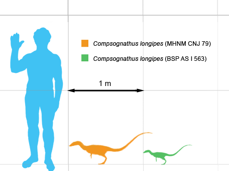 Dessin de vélociraptors.