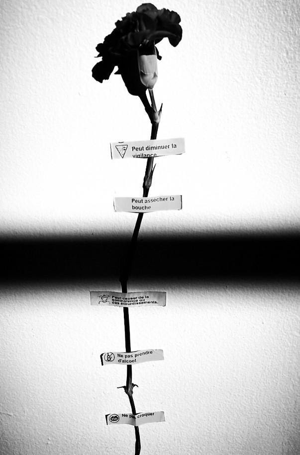 Une fleur collée au mur avec des étiquettes de médicaments.