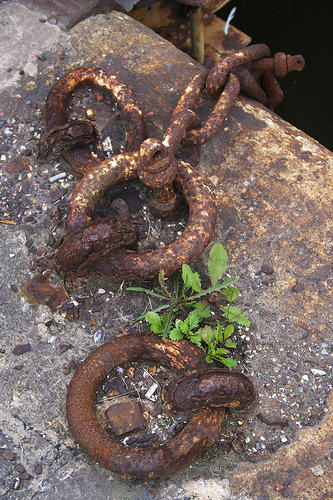 Petite chaîne rouillée sur un caillou. Touche délicate de végétation.